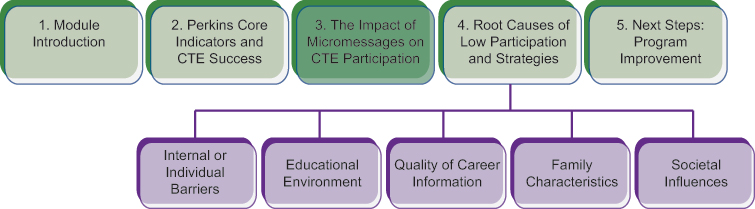 Diagram of the module structure, highlighting the current section 3: The impact of micromessages on CTE participation