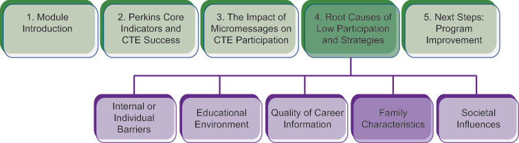 Course structure diagram, highlighting the fourth subtopic of section 4: family characteristics